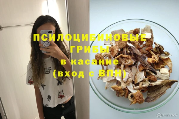 mix Абаза