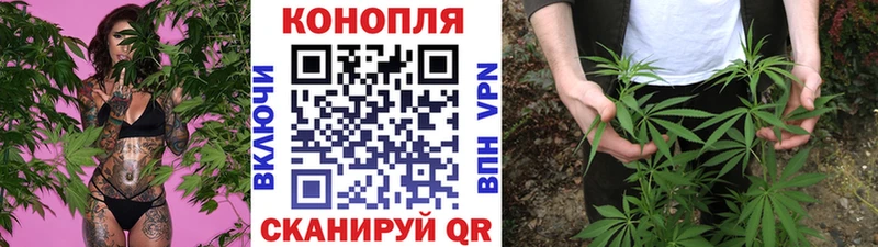 Бошки Шишки план  купить наркоту  Алдан 
